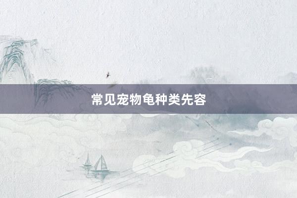 常见宠物龟种类先容