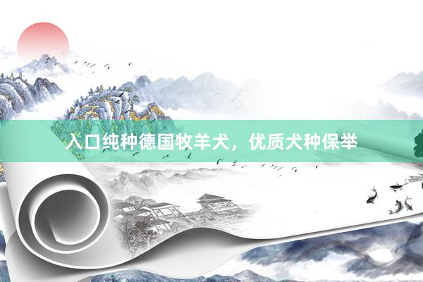 入口纯种德国牧羊犬，优质犬种保举