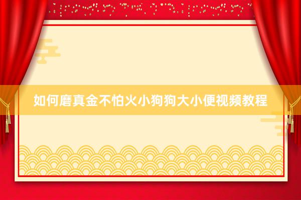 如何磨真金不怕火小狗狗大小便视频教程